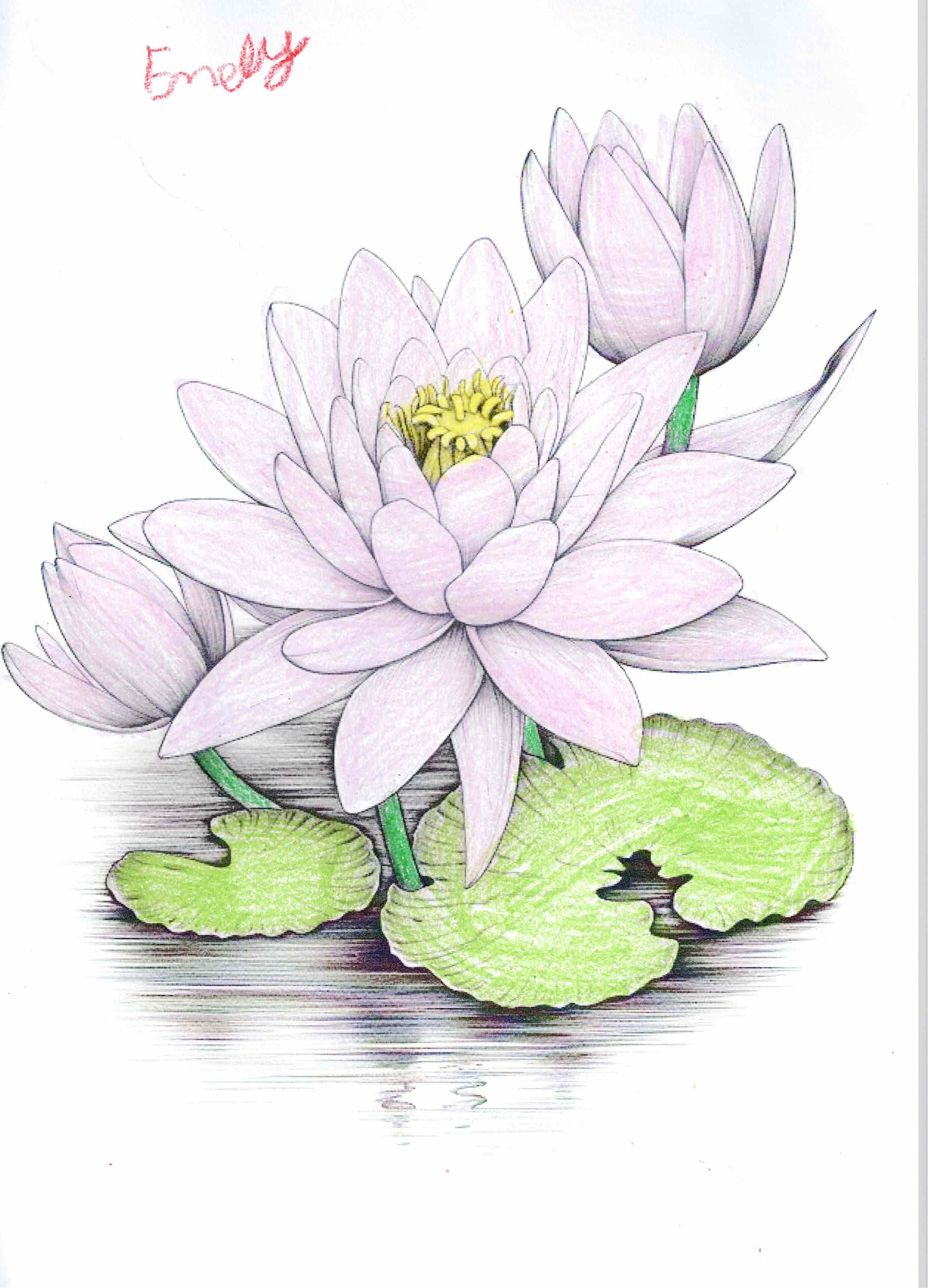 Segunda obra by Emely